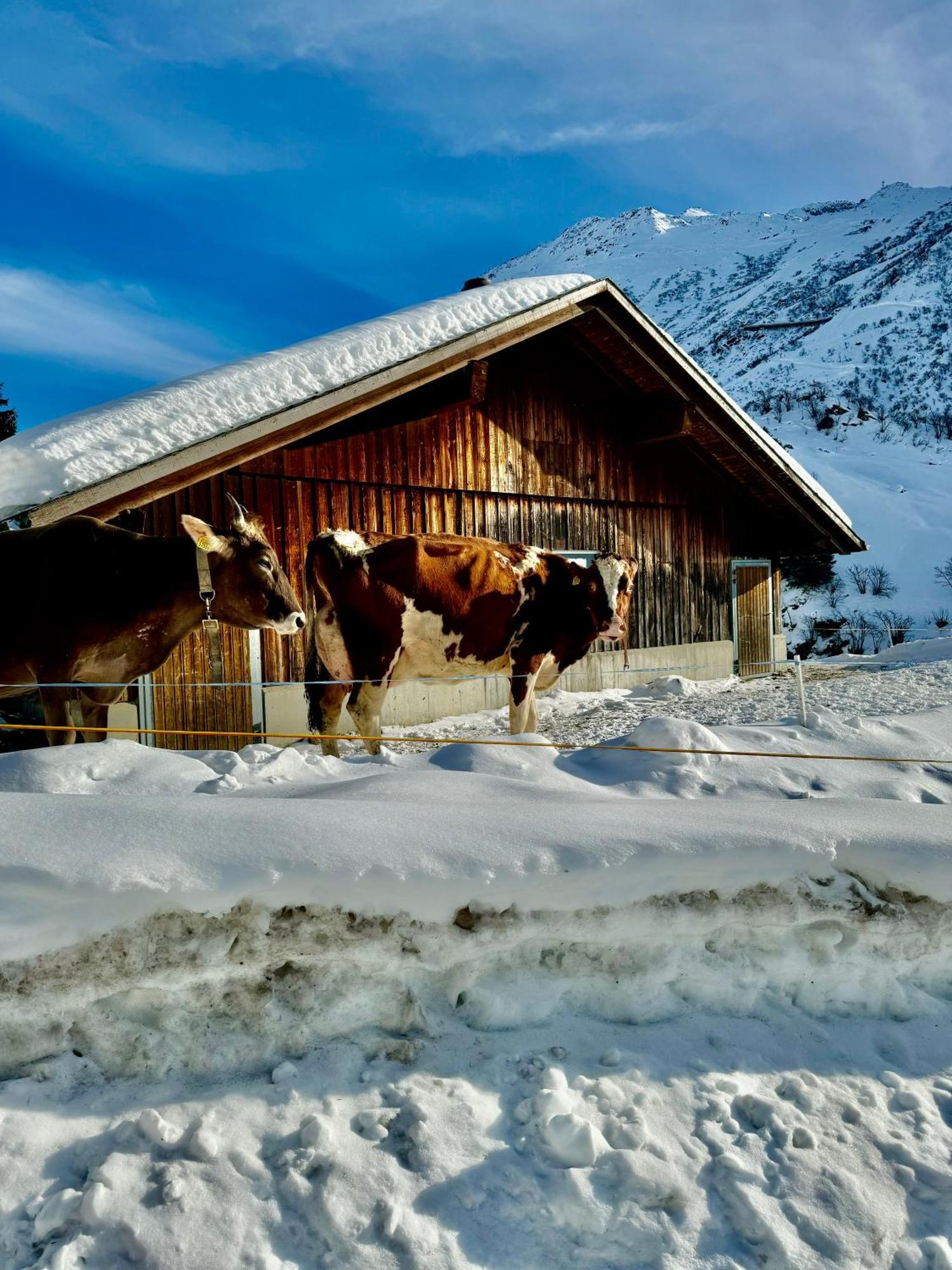 Mountain View Apartment Andermatt Exterior photo